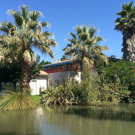 L'Hotel Du Mediterranee Argelès-sur-Mer Dış mekan fotoğraf