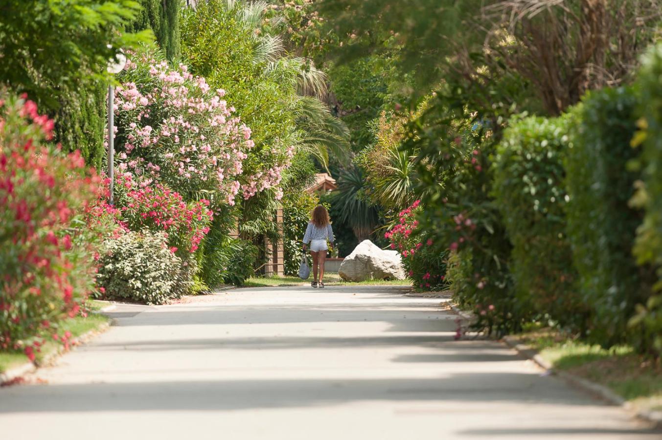 L'Hotel Du Mediterranee Argelès-sur-Mer Dış mekan fotoğraf