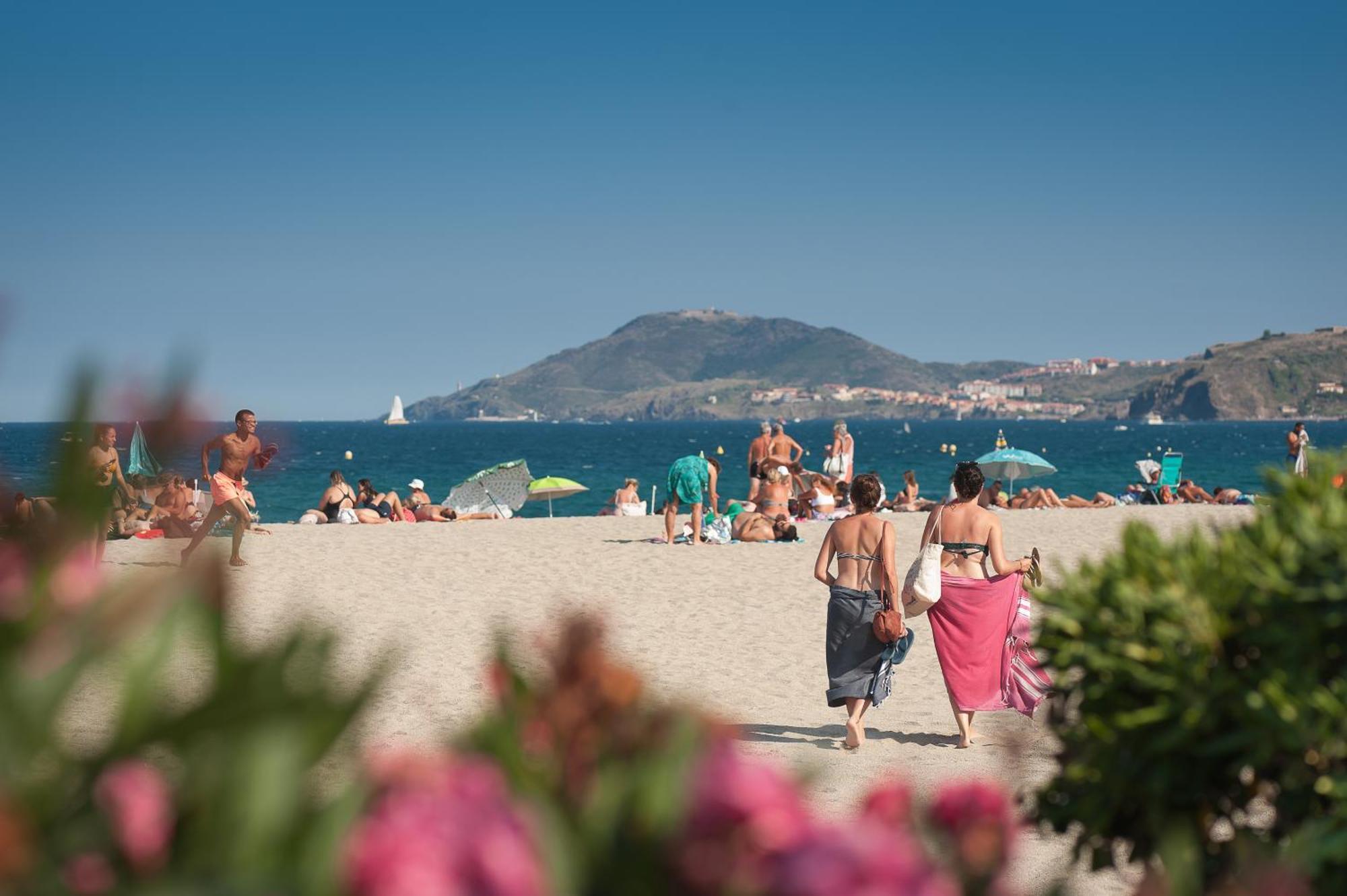L'Hotel Du Mediterranee Argelès-sur-Mer Dış mekan fotoğraf