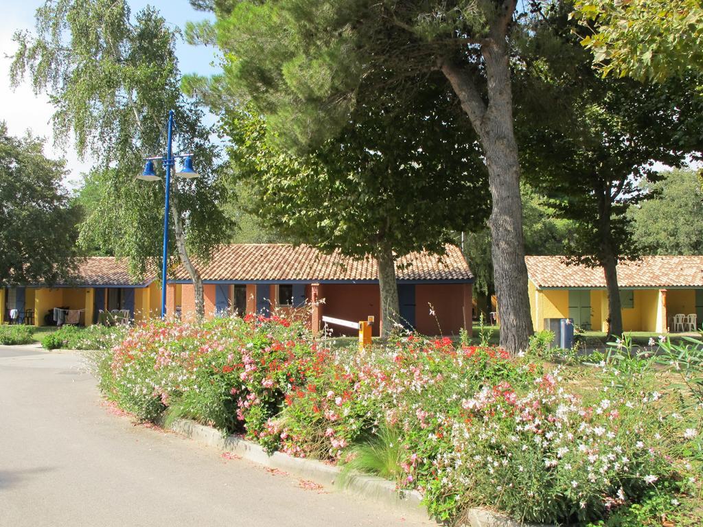 L'Hotel Du Mediterranee Argelès-sur-Mer Dış mekan fotoğraf