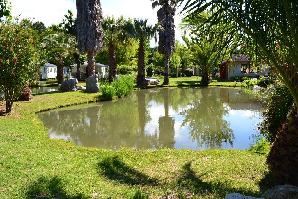L'Hotel Du Mediterranee Argelès-sur-Mer Dış mekan fotoğraf